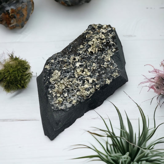 Shungite with pyrite crystal cluster