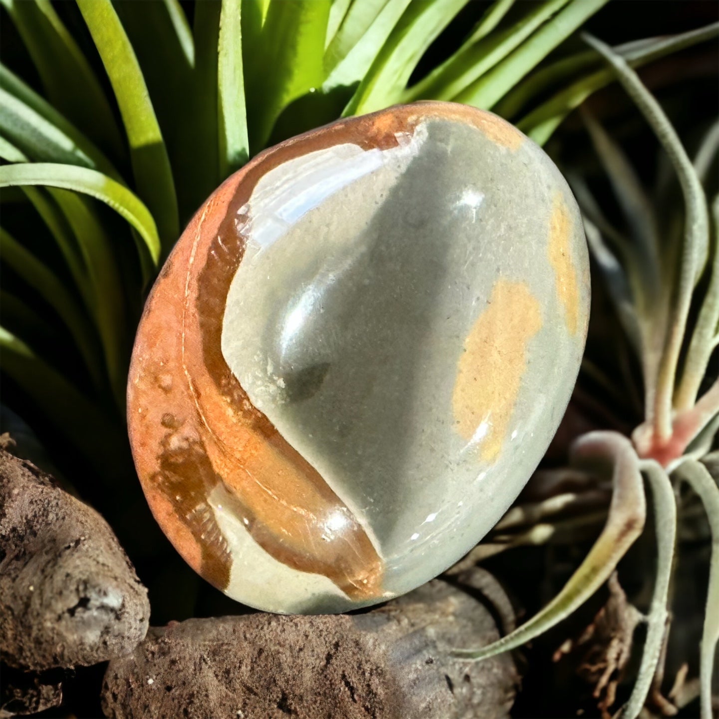 Polychrome Jasper crystal palmstone