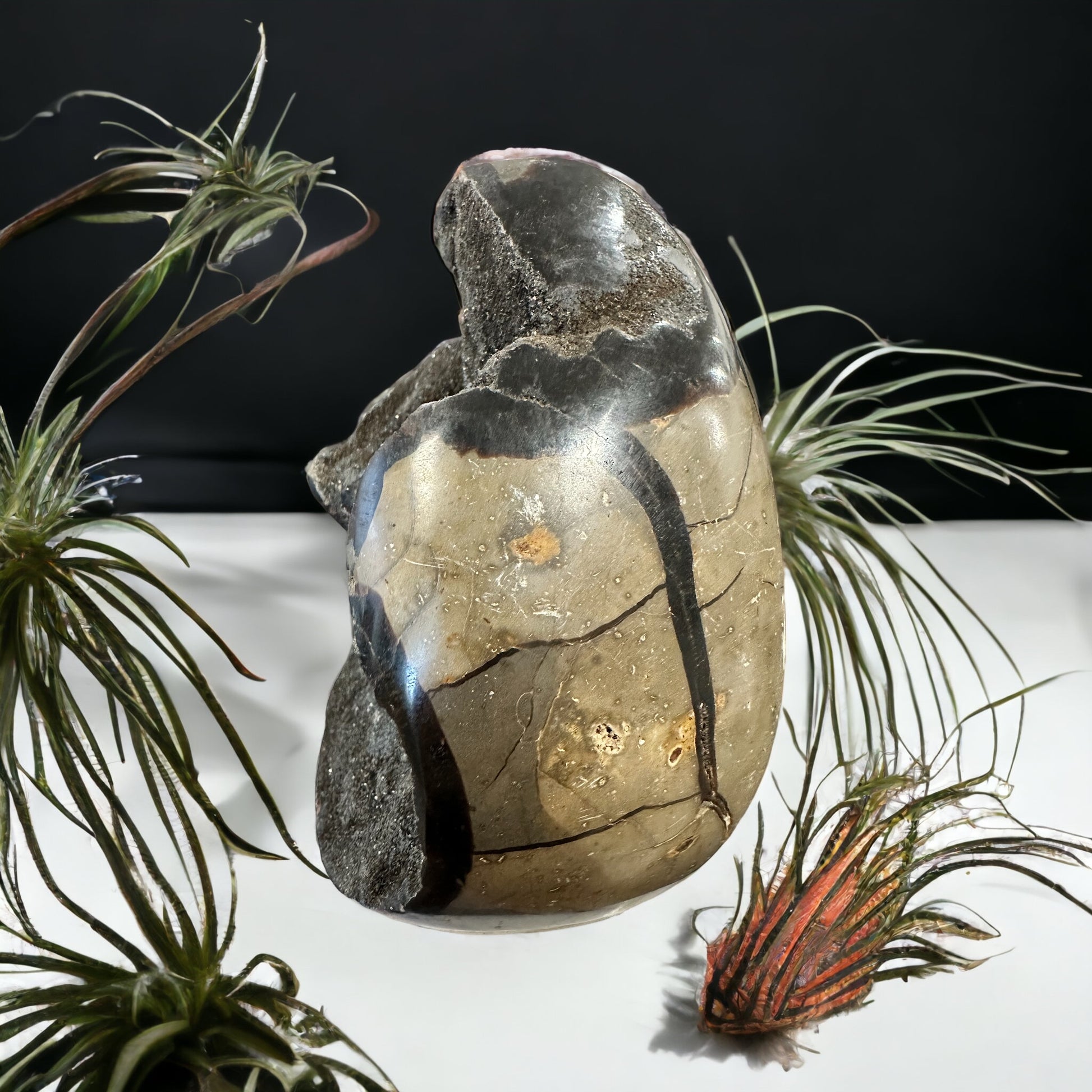 Septarian crystal egg