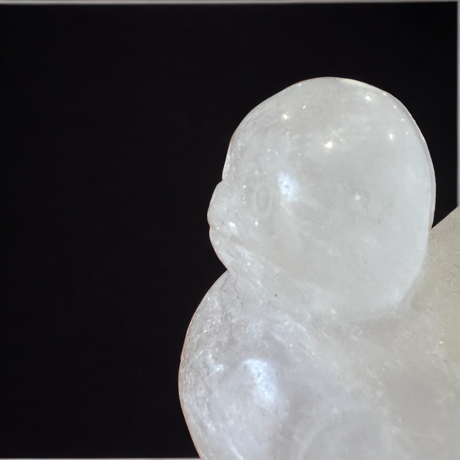 Clear quartz crystal duck carving (perfectly imperfect)