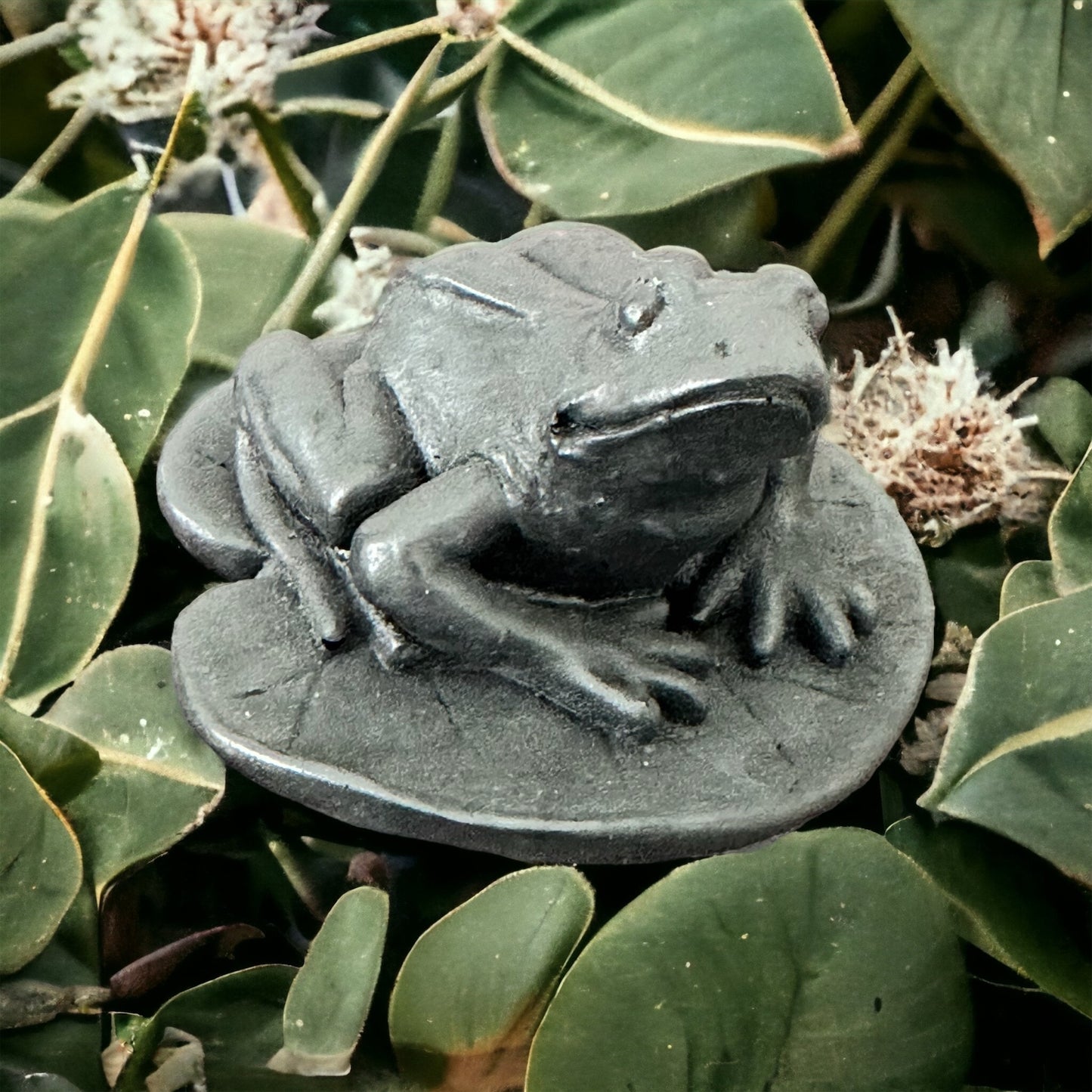 Shungite crystal frog