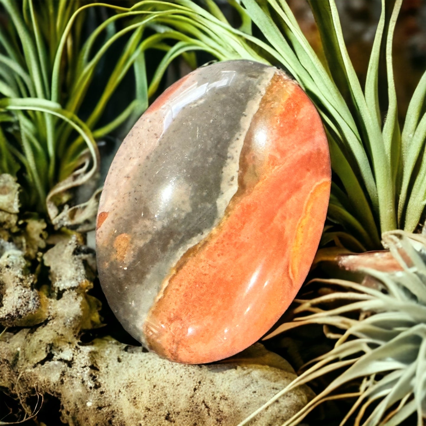 Polychrome Jasper crystal palmstone