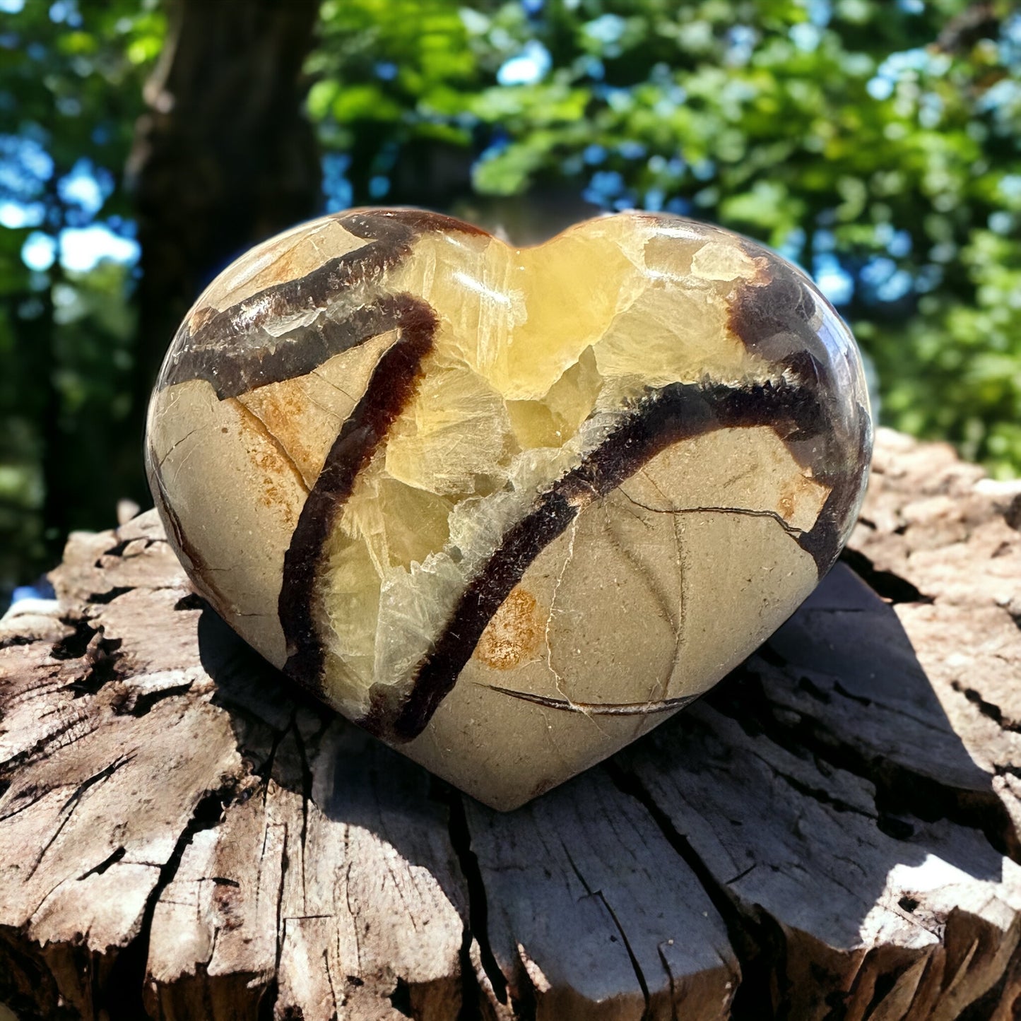 Septarian crystal heart