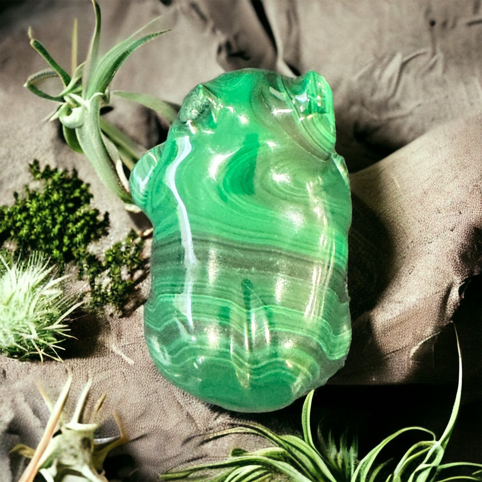 Malachite crystal frog