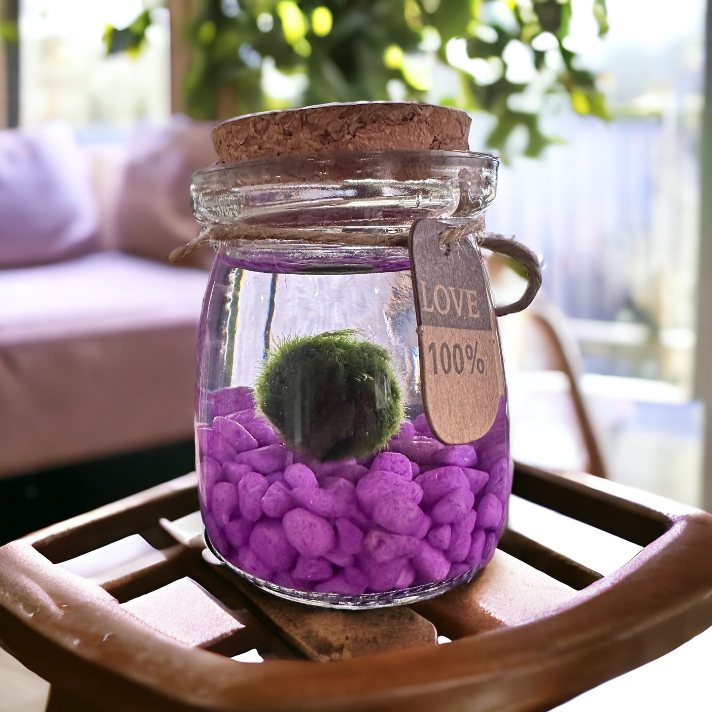 100% Love Marimo Moss Ball Kit