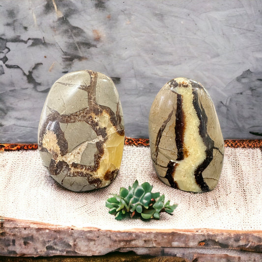 Septarian crystal freeform