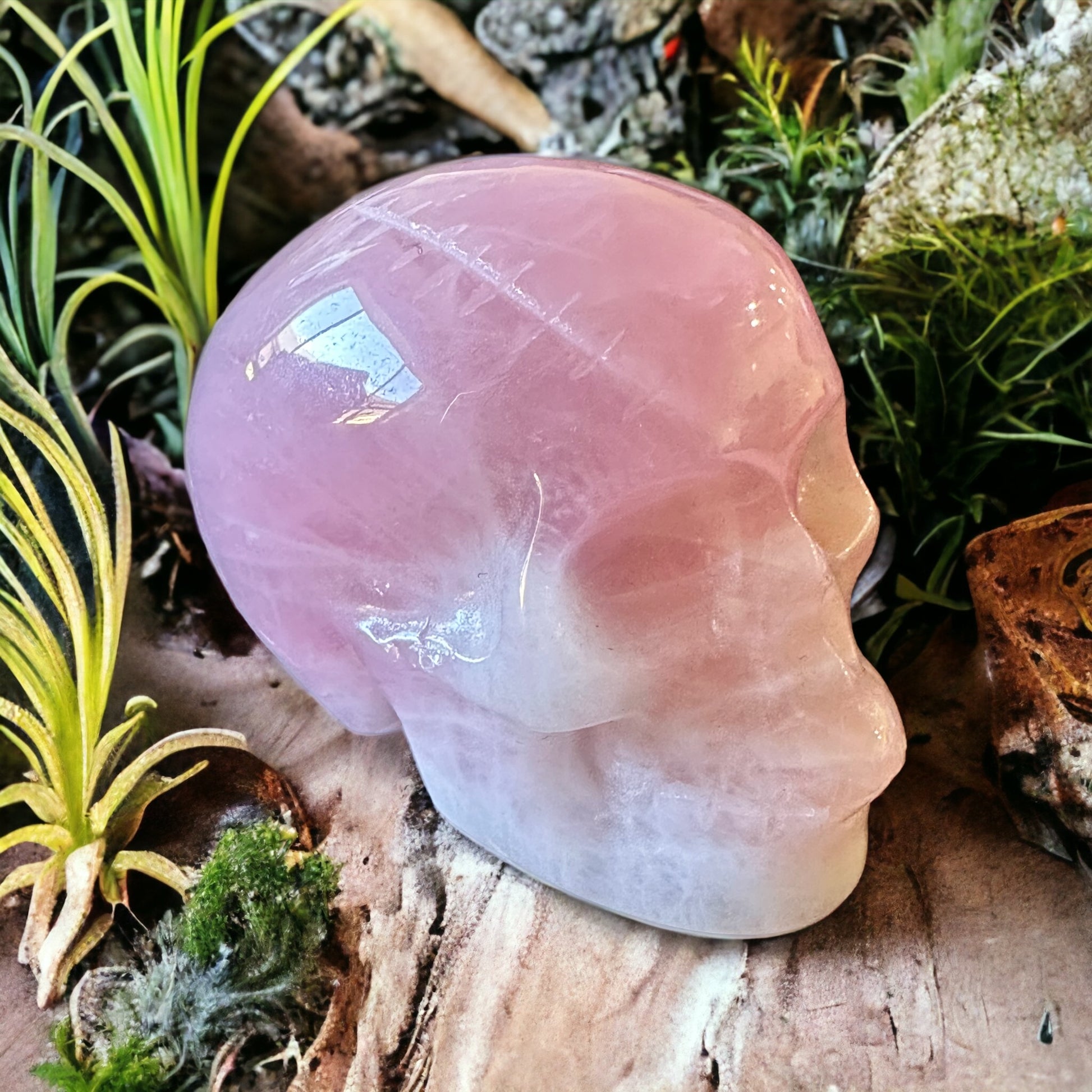 Rose quartz crystal skull