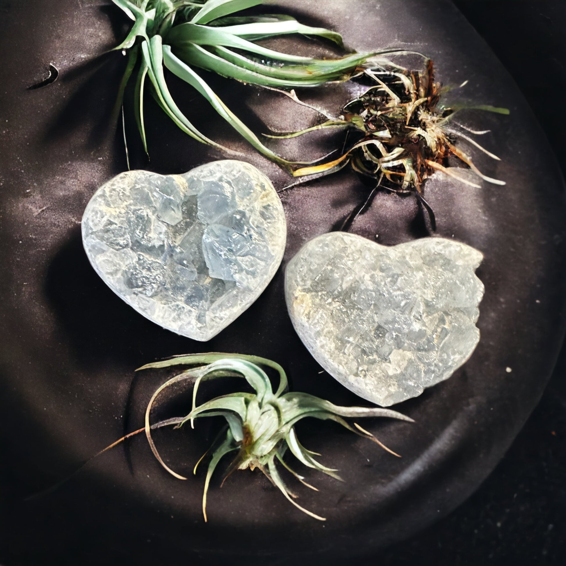 Celestite crystal heart cluster