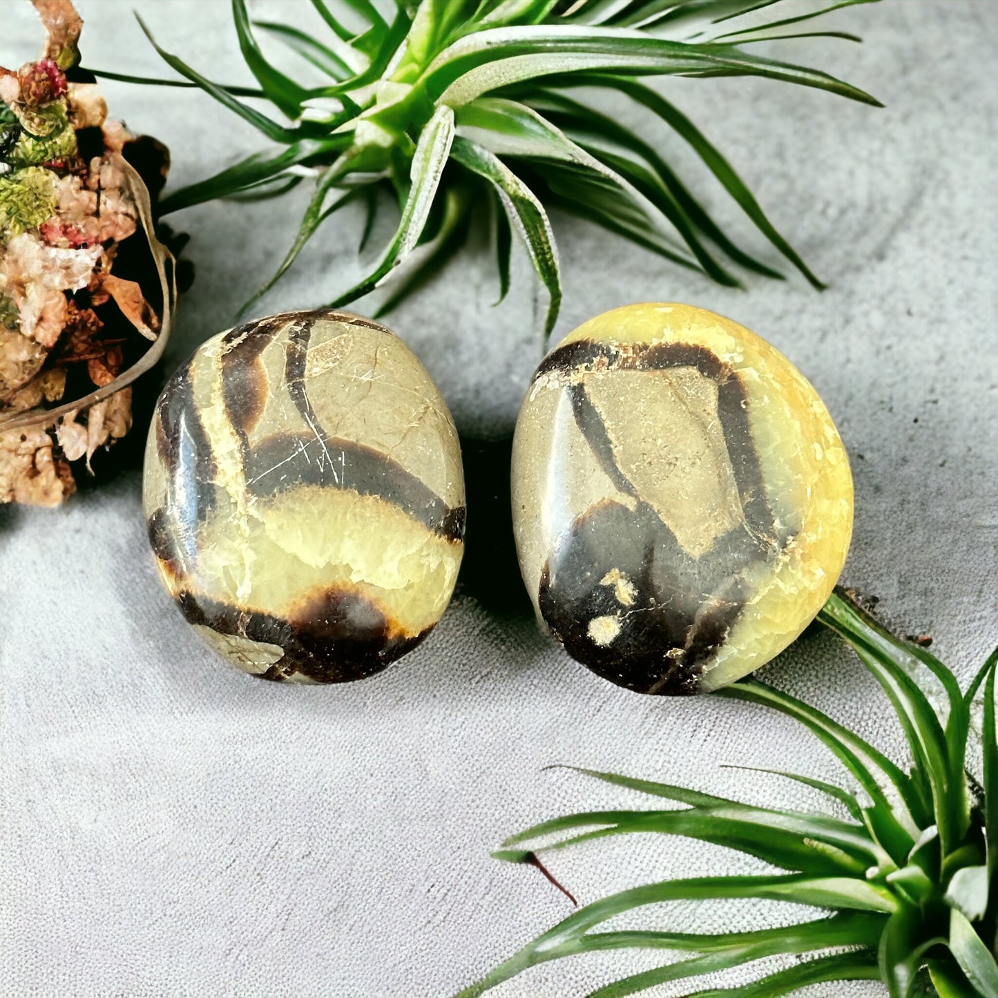 Septarian crystal palm stone