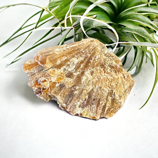 Amber calcite crystal