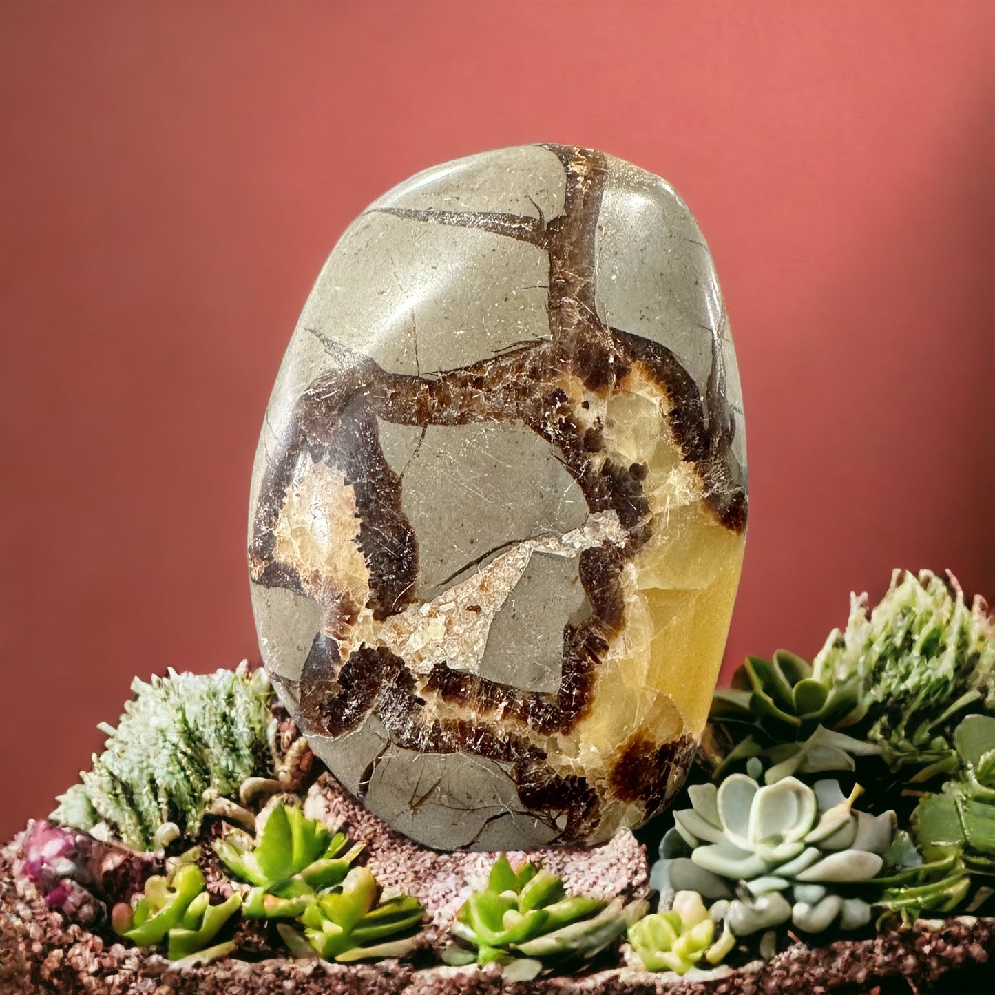 Septarian crystal freeform