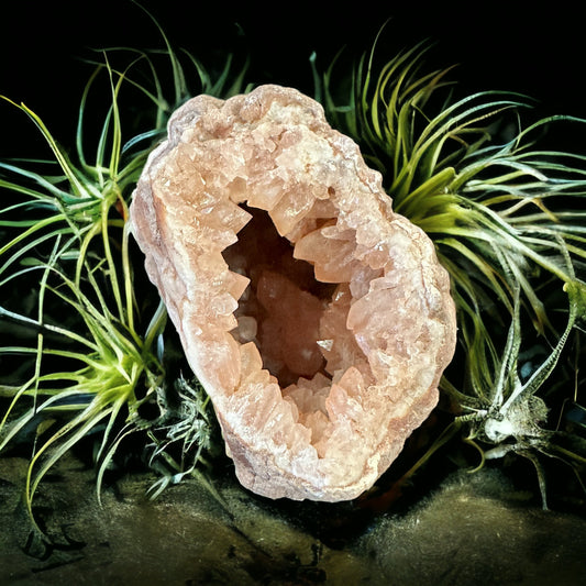 Pink amethyst geode crystal