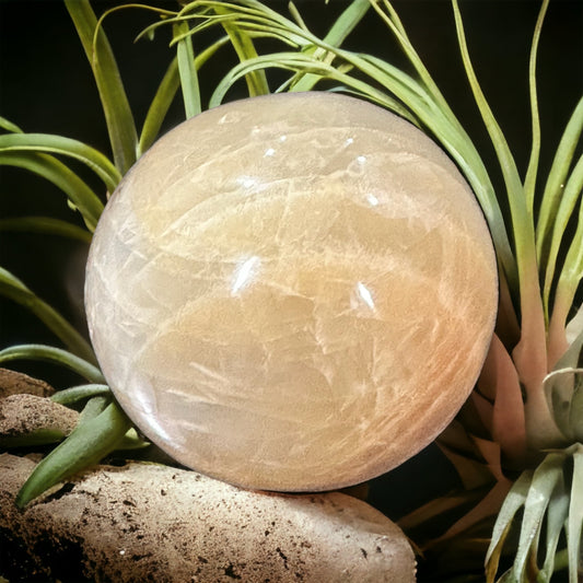 Peach moonstone sphere crystal