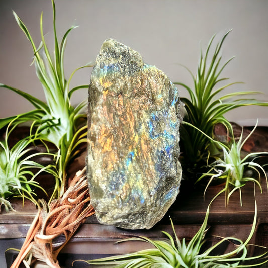 Labradorite rough/raw crystal