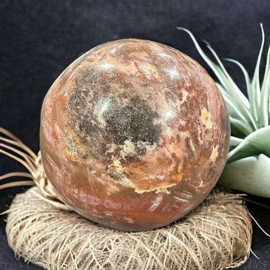 Petrified wood sphere crystal