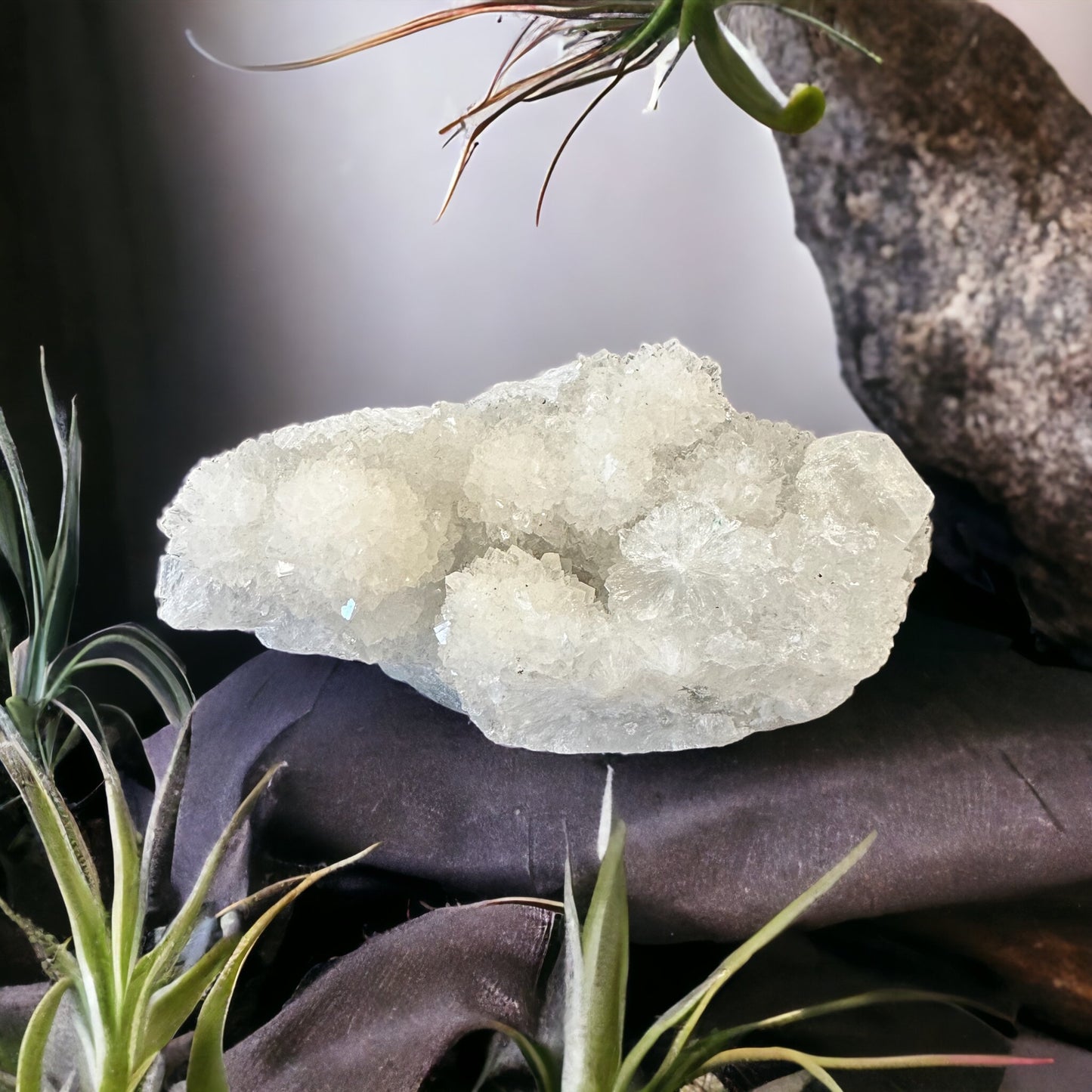 Apophyllite crystal cluster