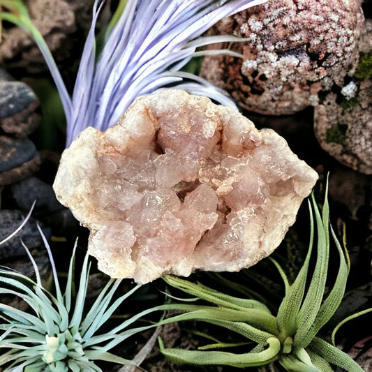 Purple rose quartz crystal geode